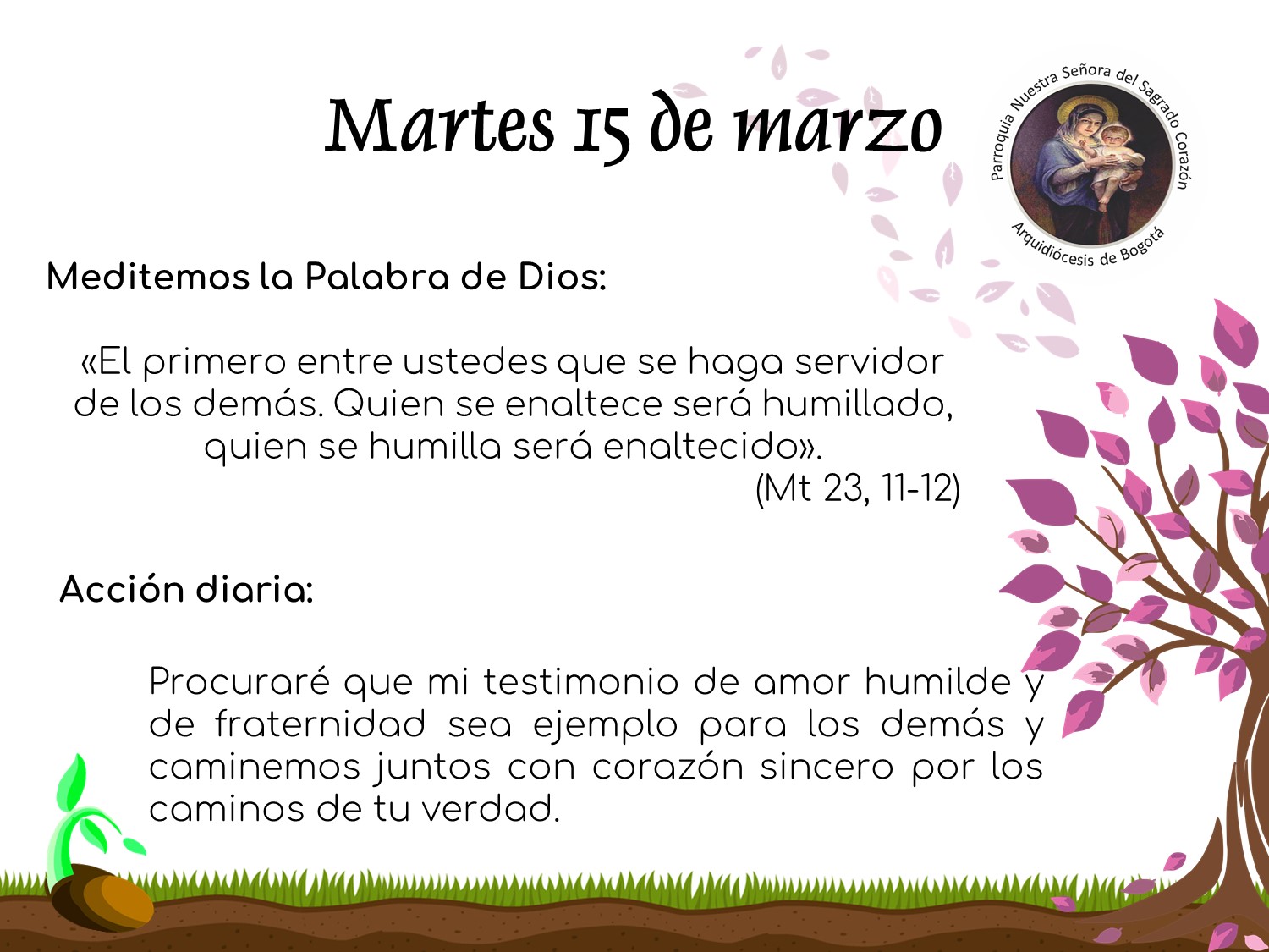 dia14cuaresma