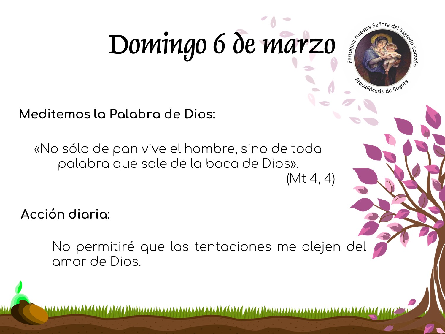 dia5cuaresma