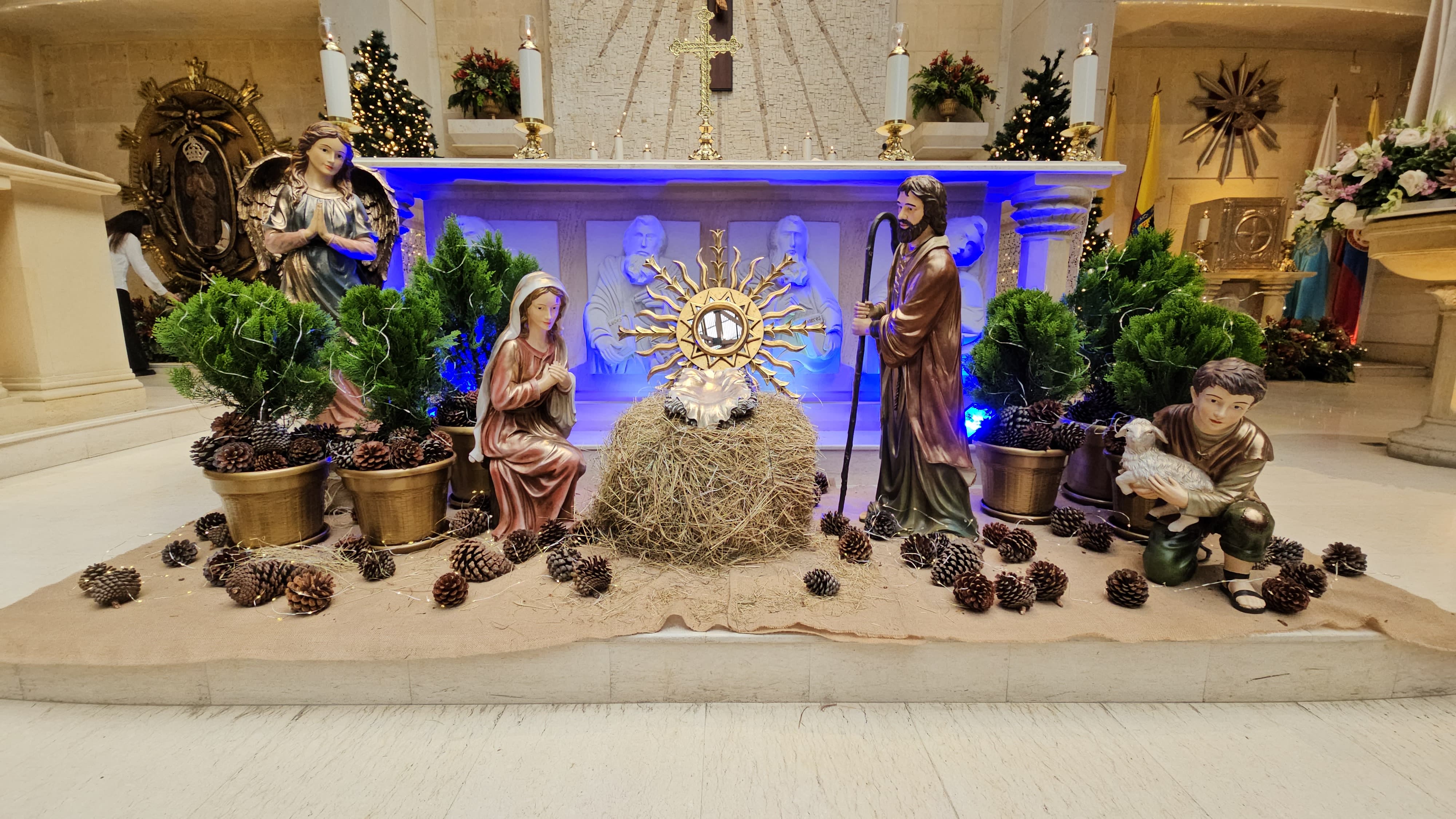 Pesebre Torcoroma Bogotá