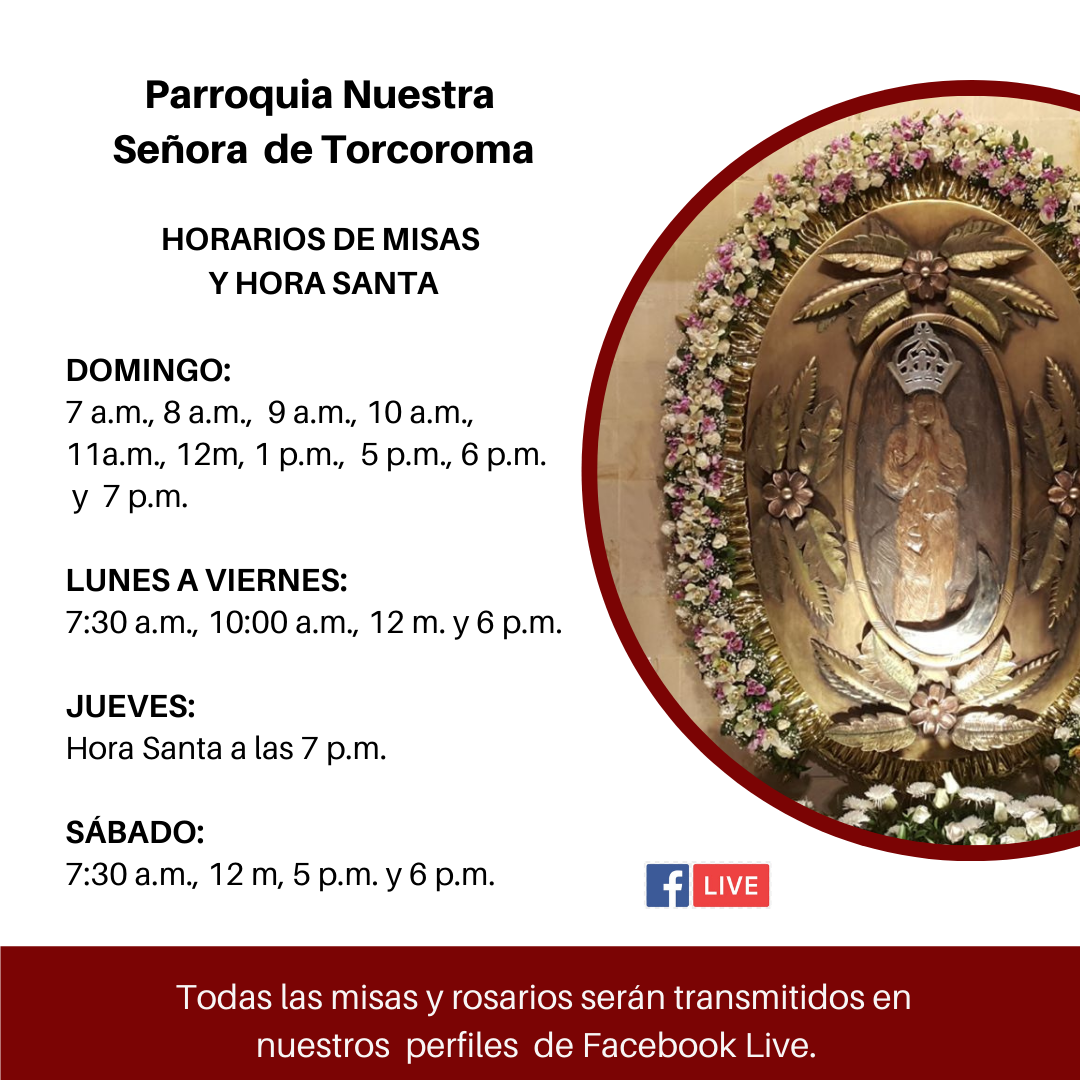Horario misas Torcoroma