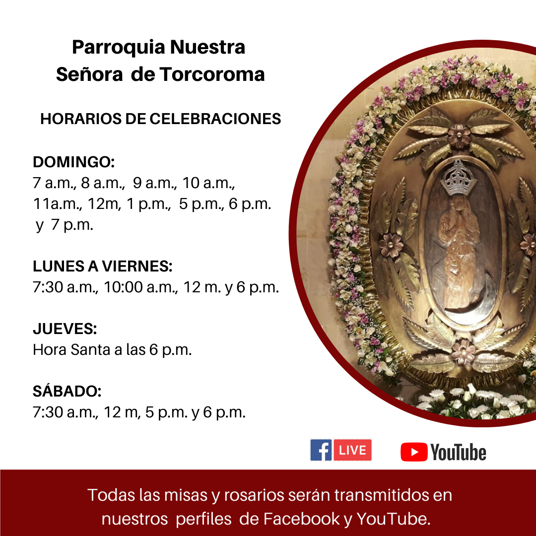 Horario misas SDS