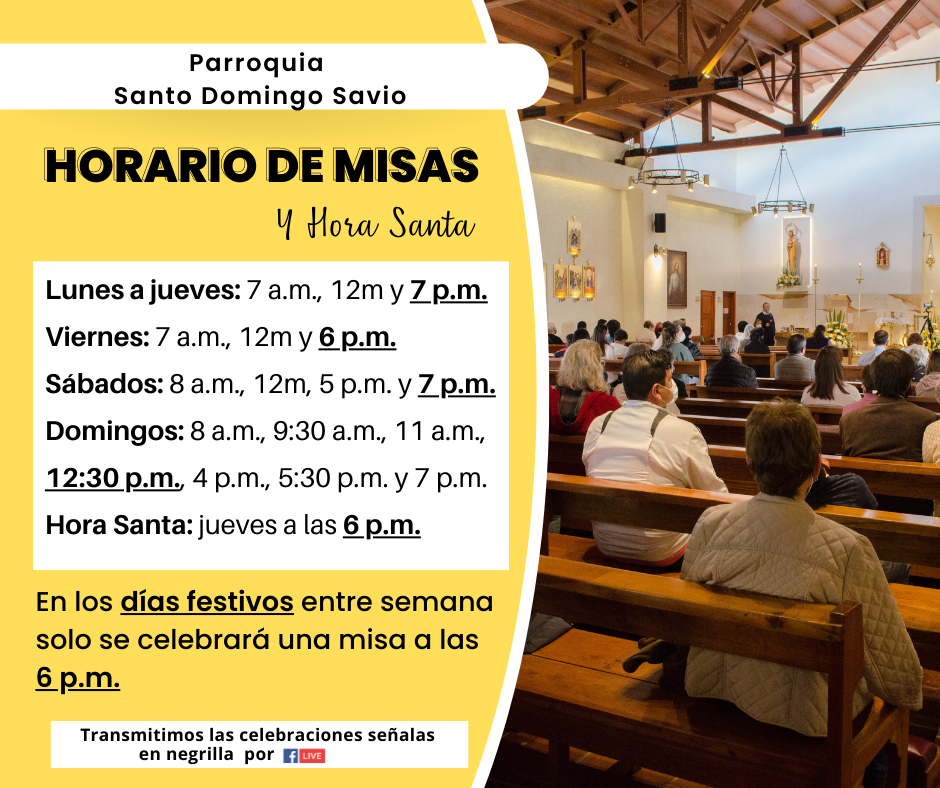 misas santo domingo savio